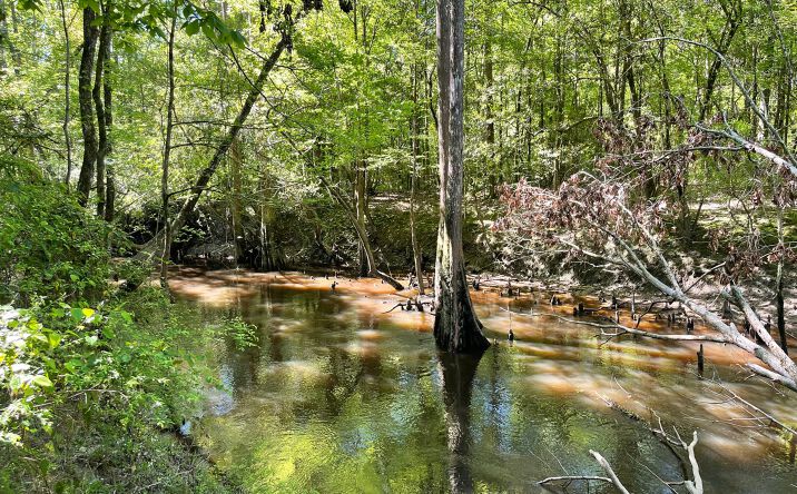 Pictures of Land property located at 0 Dykes Chapel Road, Richton, MS 39476 for sales - image #1