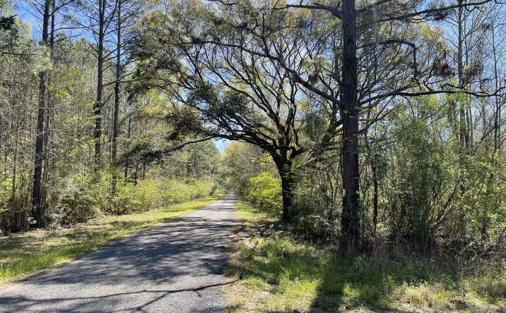 Pictures of Land property located at 0 Hib Davis Road, Lumberton, MS 39455 for sales - image #1