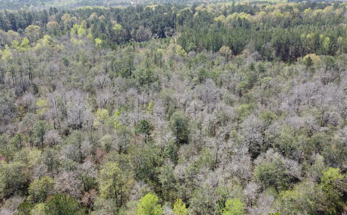 Pictures of Land property located at 0 Otho Seals Road, Lumberton, MS 39455 for sales - image #1