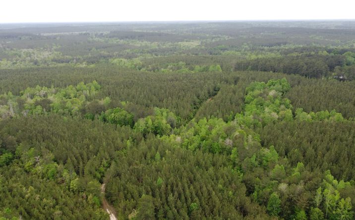 Pictures of Land property located at 0 Pugh Road, Shubuta, MS 39360 for sales - image #1