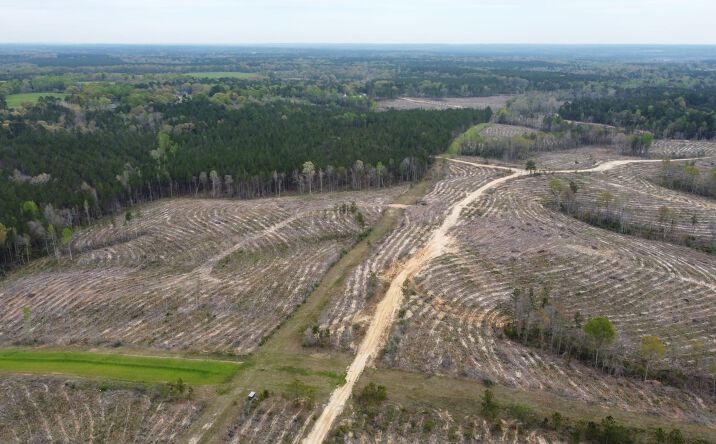 Pictures of Land property located at 0 Eastabutchie Road, Petal, MS 39465 for sales - image #1