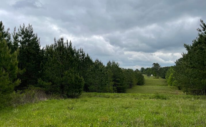 Pictures of Land property located at 0 CR 1725, Bay Springs, MS 39422 for sales - image #1