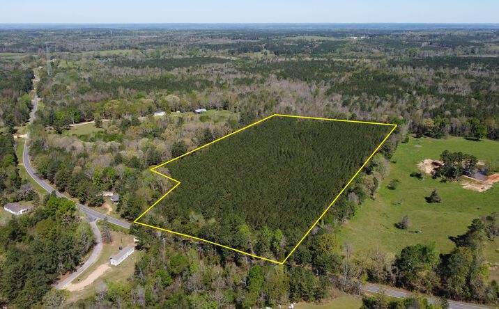 Pictures of Land property located at 0 Shivers Road, Pinola, MS 39149 for sales - image #1