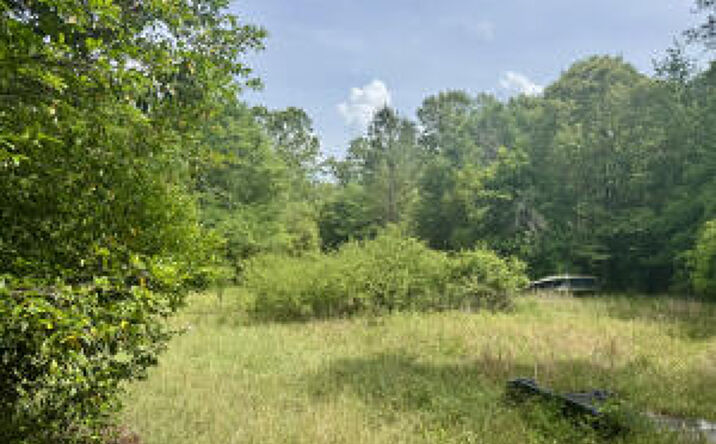 Pictures of Land property located at 167 Brinkley Street, Aiken, SC 29808 for sales - image #1