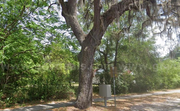 Pictures of Land property located at NW 12th Street, Ocala, FL 34882, Walter Street, Hudson, FL 34669, Ermine Road, Astor, FL 32102, 539 E Voorhis Ave, Deland, FL 32724, 163 Detroit Boulevard, Alva, FL 33920, Hamburg Dr, North Port, FL 34288, 14383 Permit Ct, Port Charlotte, FL 33953 for sales - image #1