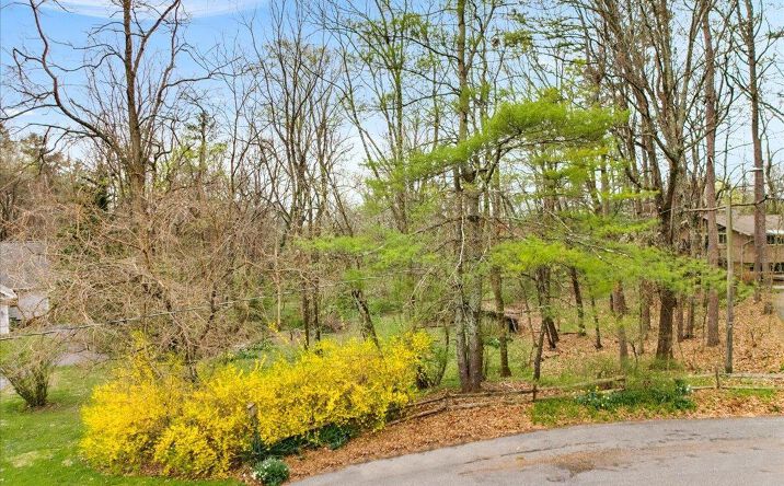 Pictures of Land property located at 502 Linkous Circle, Blacksburg, VA 24060 for sales - image #1