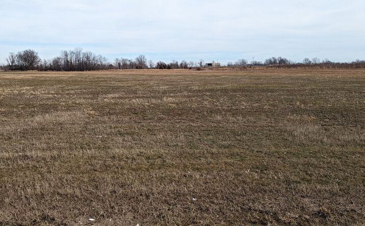 Pictures of Land property located at 14.31 acres Hwy 463, Bay, AR 72411 for sales - image #1