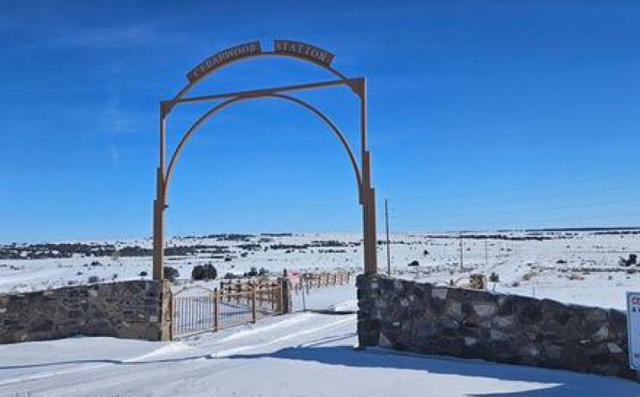 Pictures of Land property located at 731 Co Rd 121, Walsenburg, CO 81089 for sales - image #1