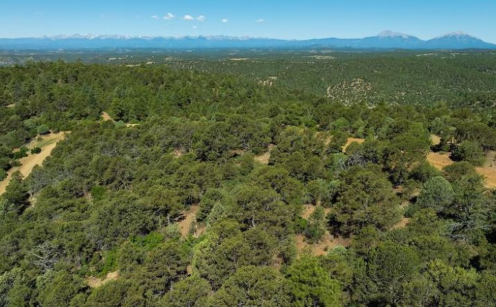 Pictures of Land property located at 15536 Ponderosa Loop, Boncarbo, CO 81024 for sales - image #1
