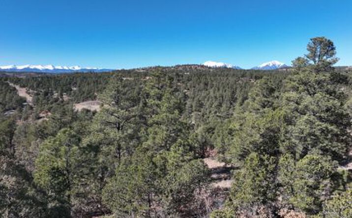 Pictures of Land property located at 13490 Big Pine Ridge Rd, Weston, CO 81091 for sales - image #1