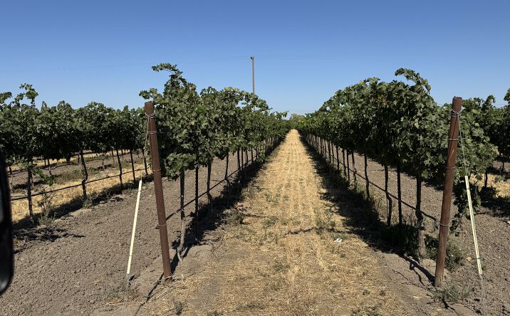 Pictures of Land property located at S. side of Dierssen Rd, W. of I-5, Clarksburg, CA 95757 for sales - image #1