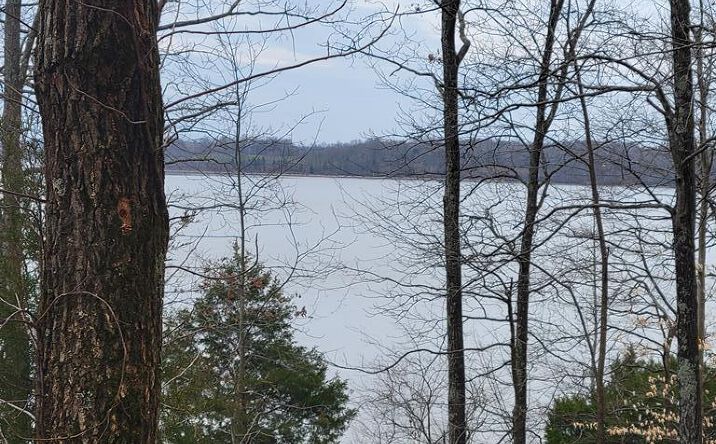 Pictures of Land property located at 00 Branch Rd, Big Sandy, TN 38221 for sales - image #1