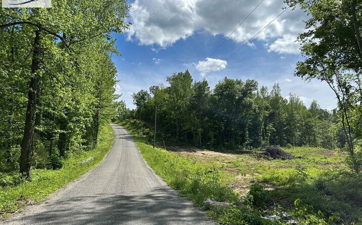 Pictures of Land, Multifamily property located at 0 Mt Zion Rd, Big Sandy, TN 38221 for sales - image #1