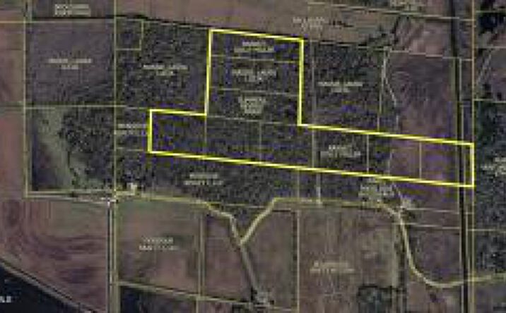 Pictures of Land property located at 001 Couvillion Road, Abbeville, LA 70510 for sales - image #1