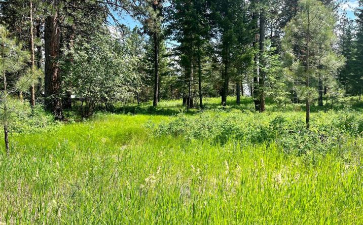 Pictures of Land property located at Lot 17 Meadow Road, Polson, MT 59860 for sales - image #1