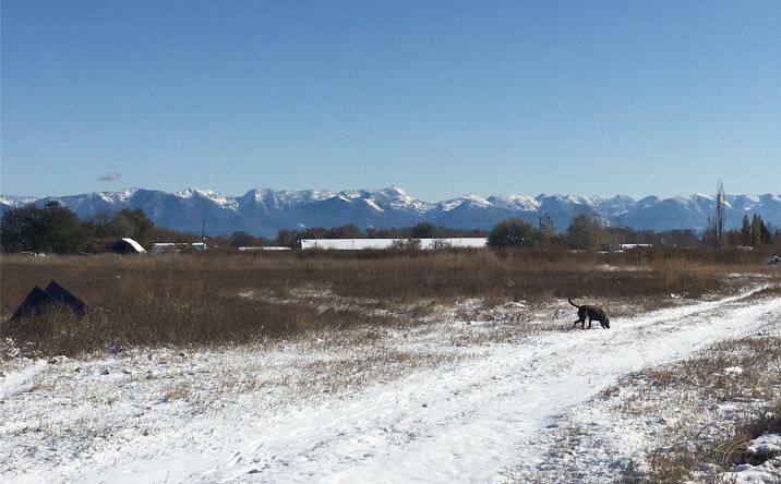 Pictures of Land property located at NHN US 93 S, Kalispell, MT 59901 for sales - image #1