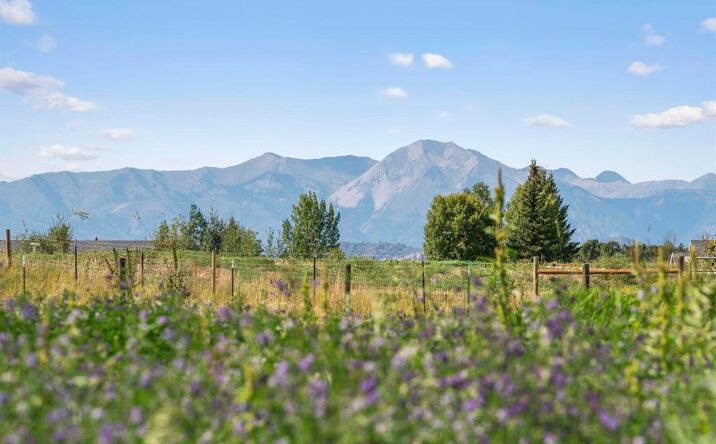 Pictures of Land property located at 1066 Florida Meadows Lane, Durango, CO 81303 for sales - image #1