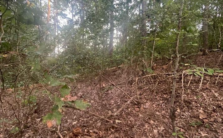 Pictures of Retail, Land property located at TBD Catalina Street, Ore City, TX 75683 for sales - image #1