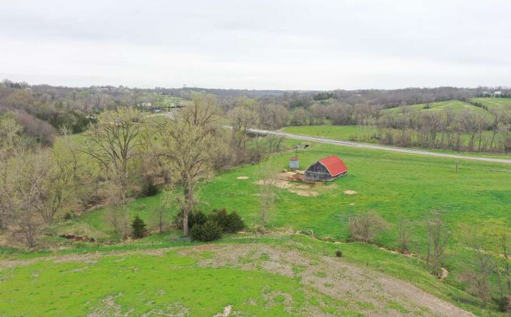 Pictures of Land property located at 22460 State Highway 65, Princeton, MO 64673 for sales - image #1