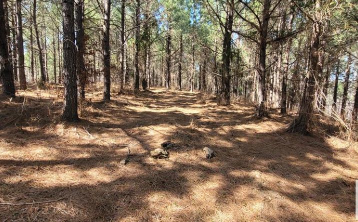 Pictures of Land, Multifamily property located at Lot 47 Saddleback Dr, Dover, TN 37058 for sales - image #1