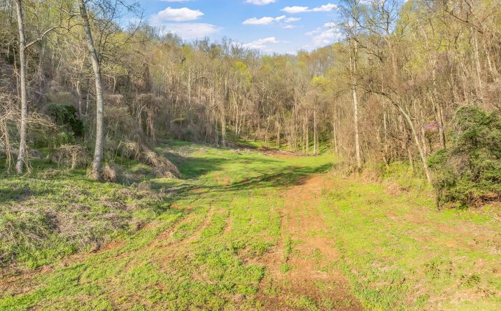 Pictures of Land property located at New Hwy 68, Madisonville, TN 37354 for sales - image #1