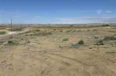 23317570