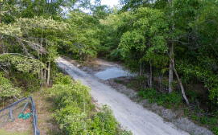 Pictures of Land property located at 0 Wasp Loop, Williston, SC 29853 for sales - image #1
