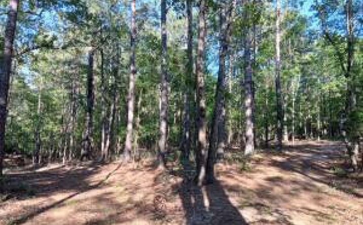 Pictures of Land property located at 0000 Andrews Circle, Aiken, SC 29803 for sales - image #1