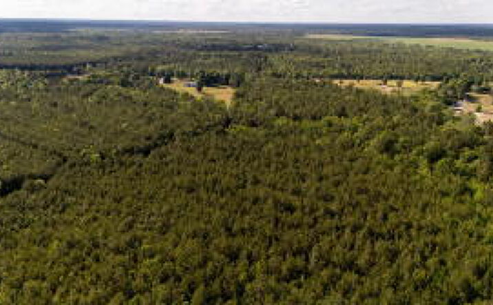 Pictures of Land property located at 0 Wasp Loop, Williston, SC 29853 for sales - image #1