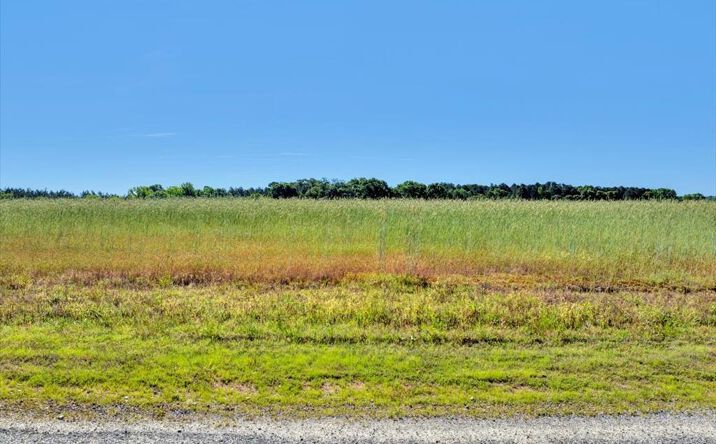 Pictures of Land property located at Lot 16 Boxwood Shores, Boydton, VA 23917 for sales - image #1