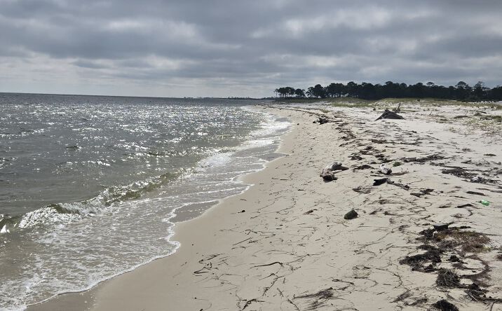 Pictures of Land property located at Gulf Barrier Islands, Biloxi, MS null for sales - image #1