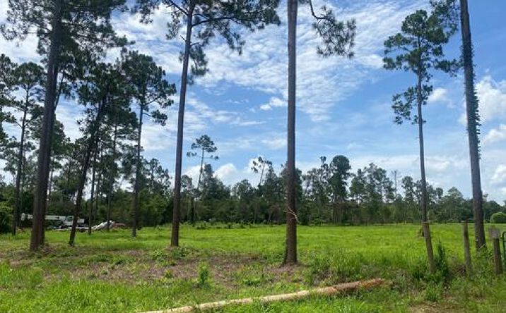 Pictures of Land property located at Co Rd 24, Foley, AL 36535 for sales - image #1
