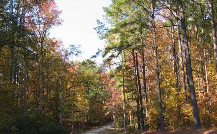 Pictures of Land property located at 12 Glenwood Ln, Irvington, VA 22576 for sales - image #1
