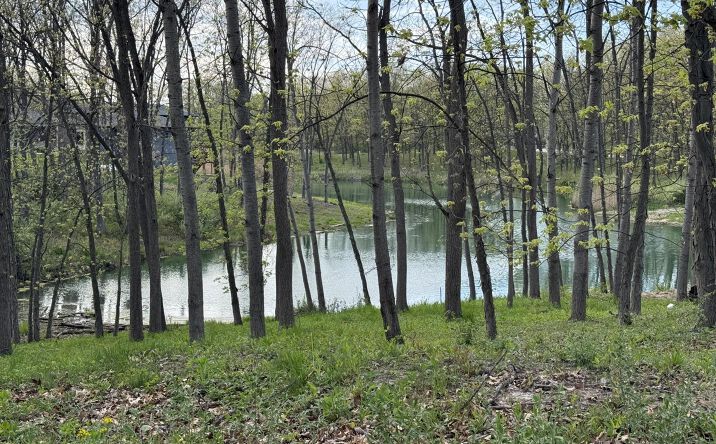 Pictures of Land property located at 764 Ketill Trace, Crown Point, IN 46307 for sales - image #1