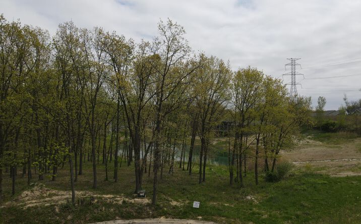 Pictures of Land property located at 31 Davidano Court, Crown Point, IN 46307 for sales - image #1