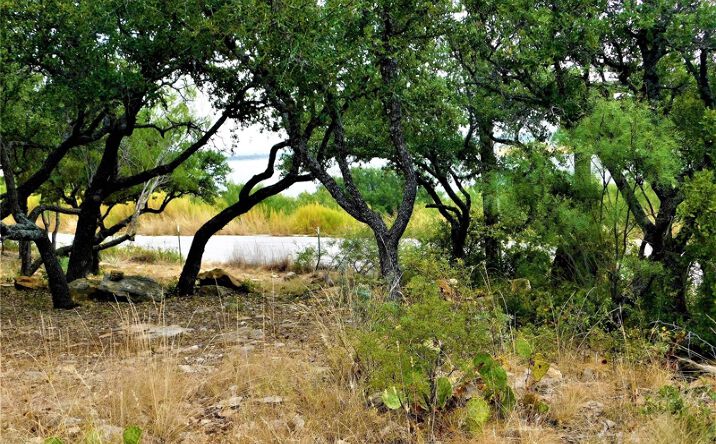 Pictures of Hospitality, Land property located at Lot 286 Summer Wind Dr, brownwood, TX 76801 for sales - image #1