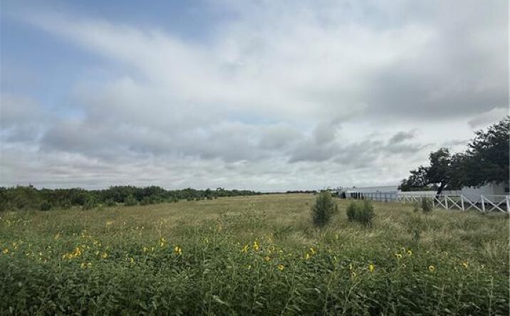 Pictures of Land property located at 603 W Wisconsin Road, Donna, TX 78537 for sales - image #1