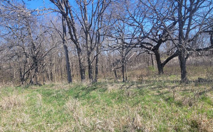 Pictures of Land property located at W 170th Avenue, Martinsville, MO 64467 for sales - image #1