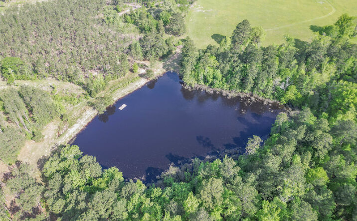 Pictures of Land property located at 148.5 ac FM 995, Atlanta, TX 75551 for sales - image #1