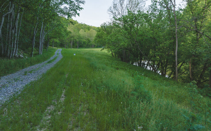 Pictures of Land property located at Lots 6-10 Big Springs Road, Eidson, TN 37731 for sales - image #1