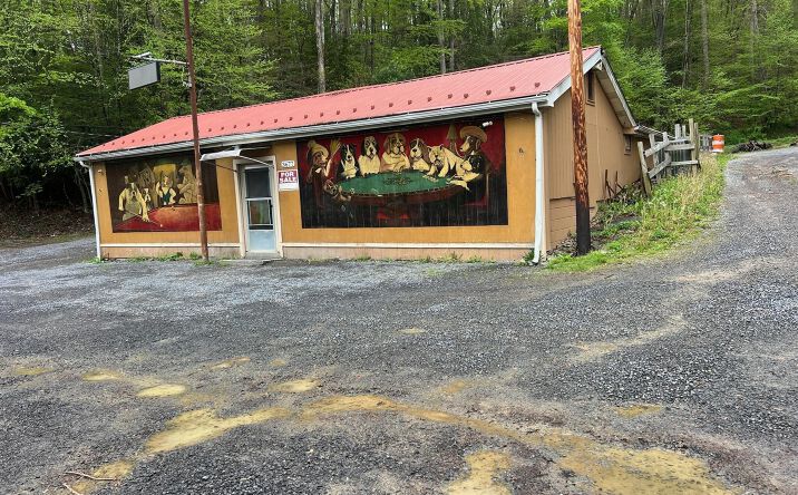Pictures of Special Purpose property located at 3677 W Midland Trl, Charmco, WV 25958 for sales - image #1