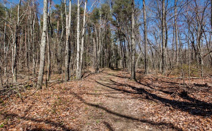 Pictures of Land property located at 8 Long Mountain Trail, McMinnville, TN 37110 for sales - image #1