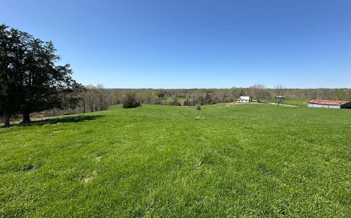 Pictures of Land property located at Hwy 1351, Static, KY 42602 for sales - image #1