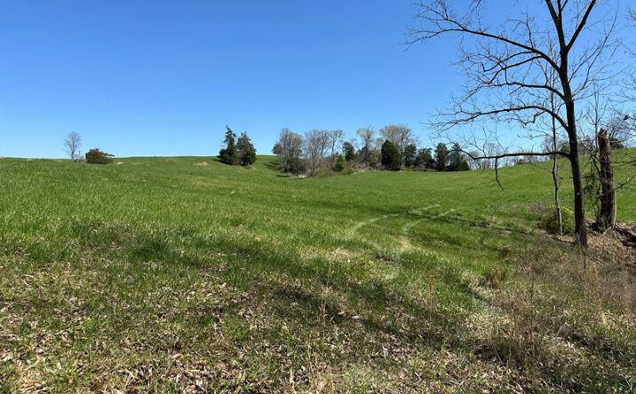 Pictures of Land property located at Tract #1 Farm on 1351, Snow, KY 42602 for sales - image #1