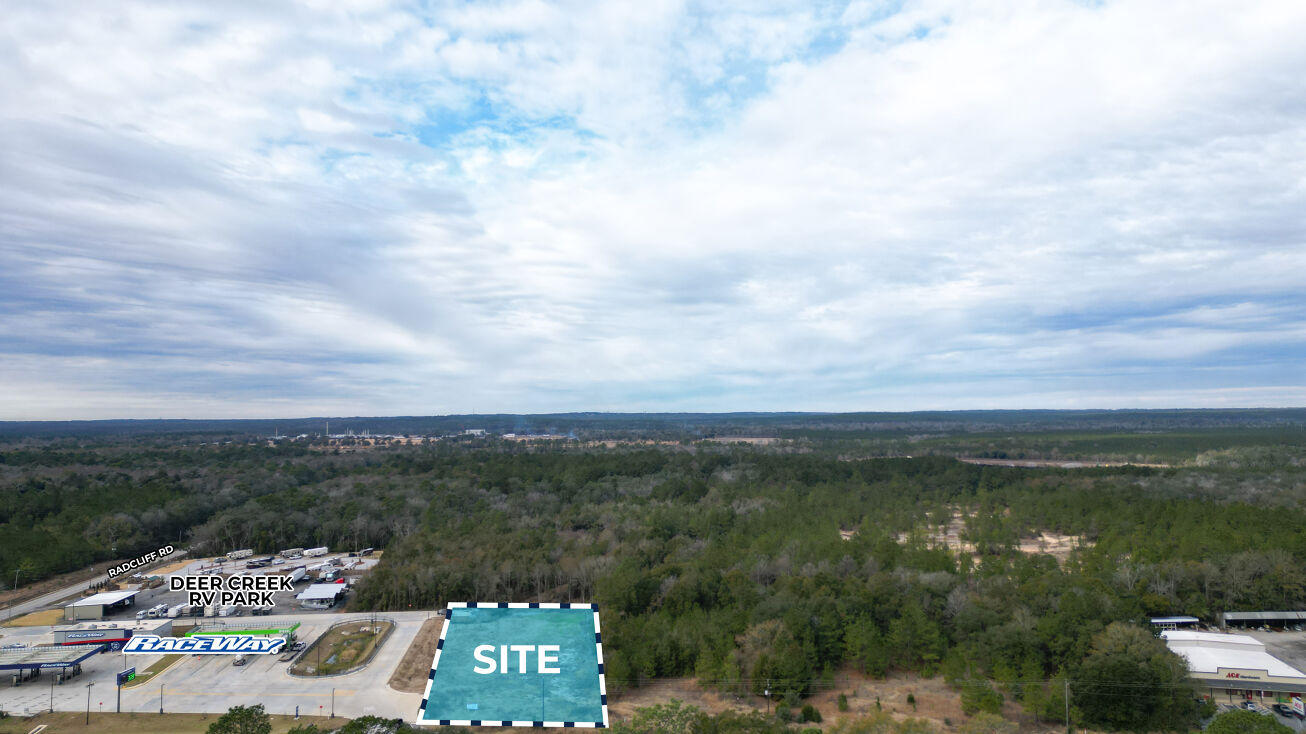 Pictures of Land property located at 10033 US-43, Creola, AL 36525 for sales - image #1