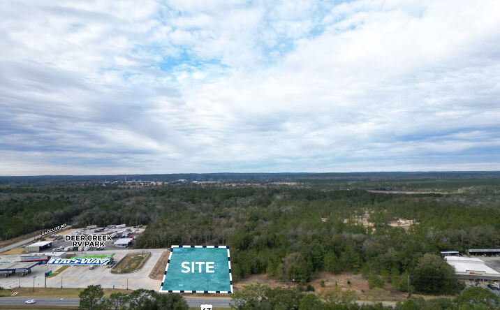 Pictures of Land property located at 10033 US-43, Creola, AL 36525 for sales - image #1