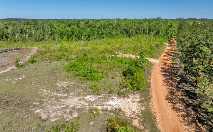 Pictures of Land property located at Stone Church Road Lots, Dublin, GA 31027 for sales - image #1
