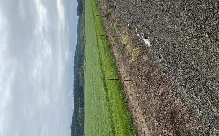 Pictures of Land, Mobile Home Park property located at 27889 Seven Mile Ln, Brownsville, OR 97327 for sales - image #1