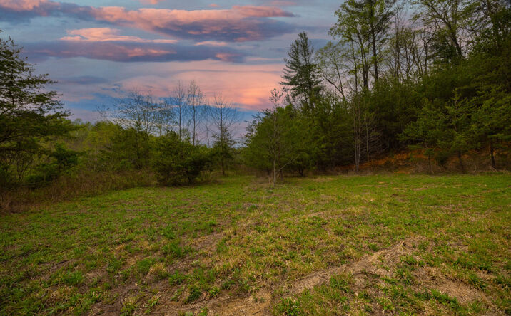 Pictures of Land property located at Lot 2 Old Vashti Rd, Taylorsville, NC 28681 for sales - image #1
