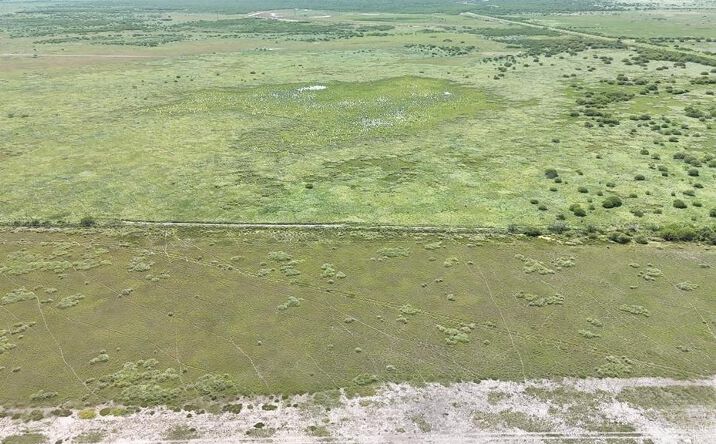 Pictures of Land property located at 0 Old Port Isabel Road, Brownsville, TX 78526 for sales - image #1